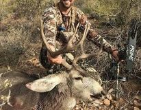 Logan-Muley